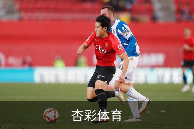 杏彩体育平台介绍图片